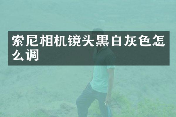 索尼相机镜头黑白灰色怎么调
