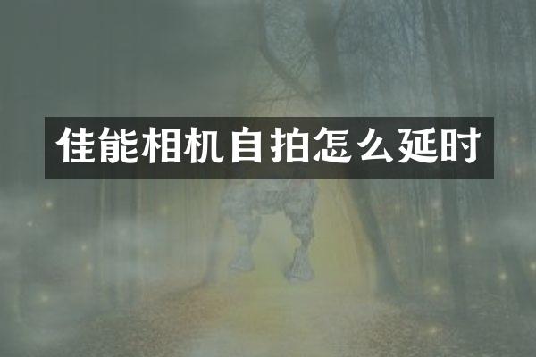佳能相机怎么延时