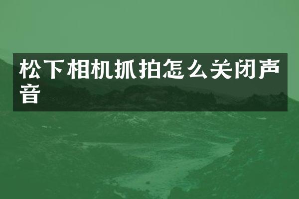 松下相机抓拍怎么关闭声音