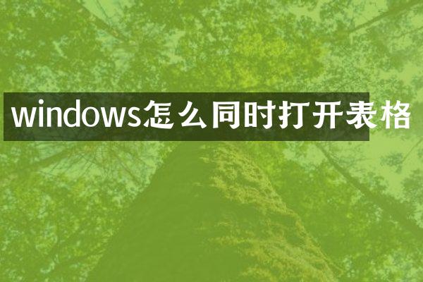 windows怎么同时打开表格