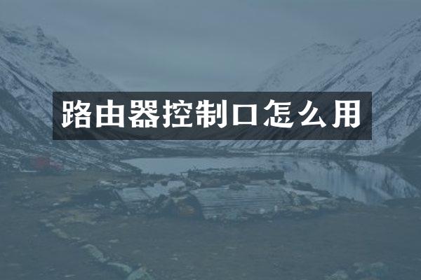 路由器控制口怎么用