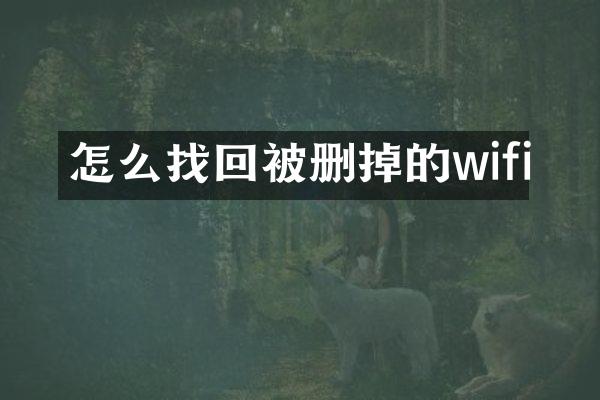 怎么找回被删掉的wifi