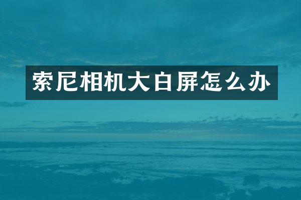 索尼相机大白屏怎么办