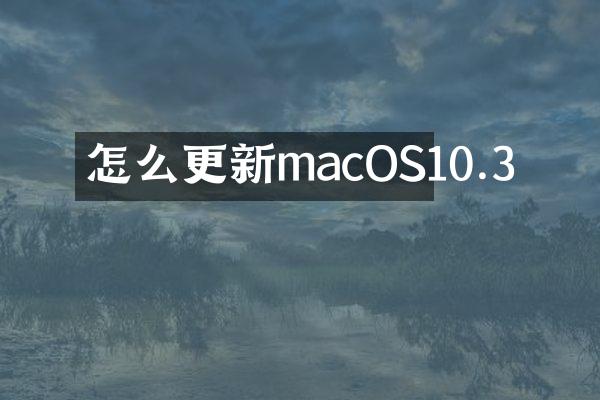 怎么更新macOS10.3
