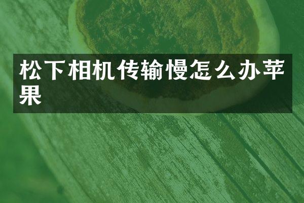 松下相机传输慢怎么办苹果