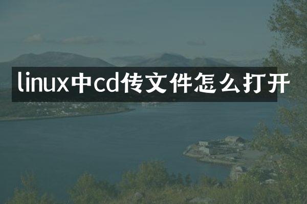 linux中cd传文件怎么打开