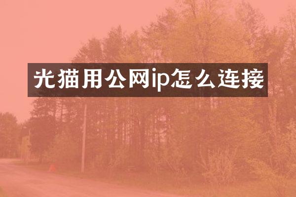 光猫用公网ip怎么连接
