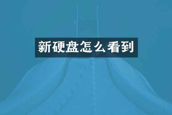 新硬盘怎么看到