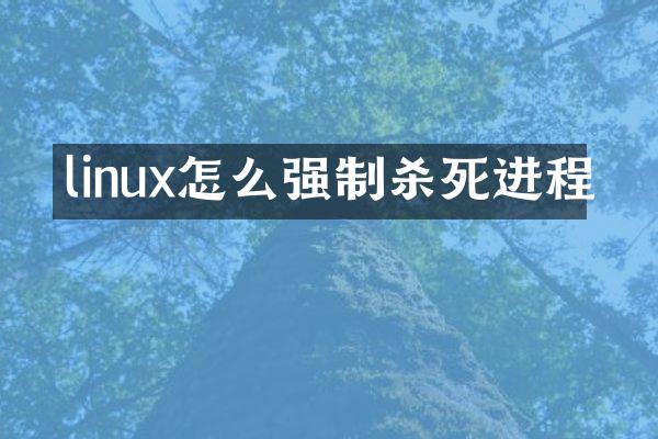 linux怎么强制杀死进程