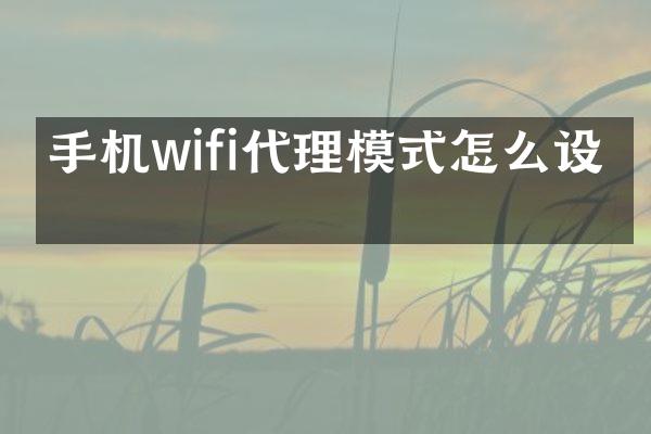 手机wifi代理模式怎么设置