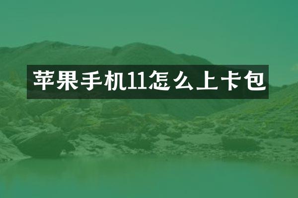 苹果手机11怎么上卡包