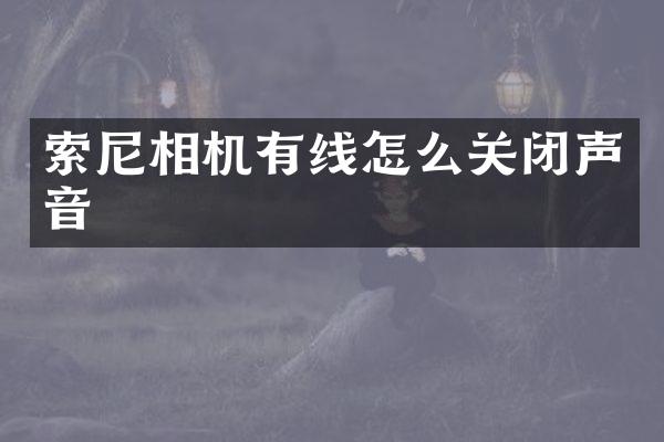 索尼相机有线怎么关闭声音
