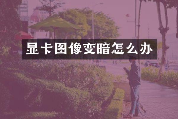 显卡图像变暗怎么办