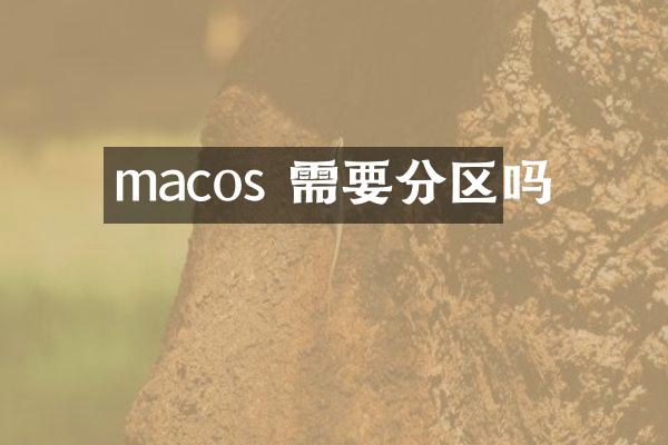 macos 需要分区吗