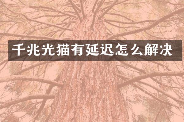 千兆光猫有延迟怎么解决