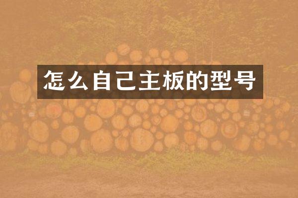 怎么自己主板的型号