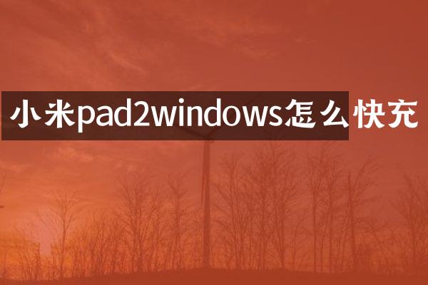 小米pad2windows怎么快充