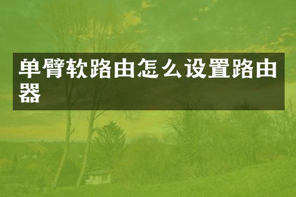 单臂软路由怎么设置路由器
