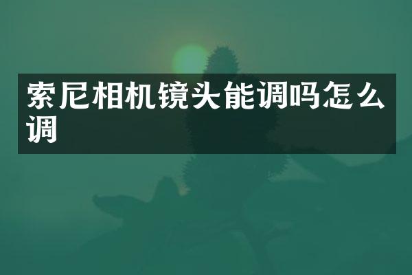 索尼相机镜头能调吗怎么调