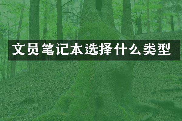 文员笔记本选择什么类型