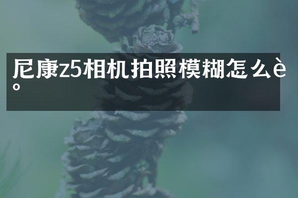 尼康z5相机拍照模糊怎么调