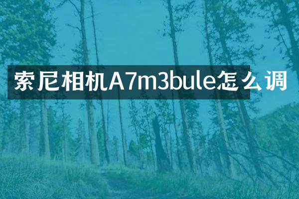 索尼相机A7m3bule怎么调