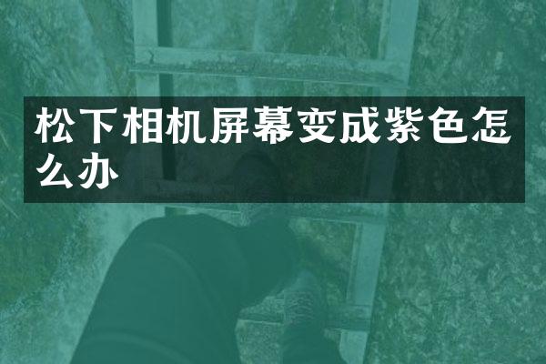 松下相机屏幕变成紫色怎么办