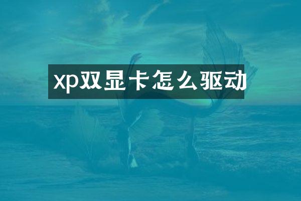 xp双显卡怎么驱动