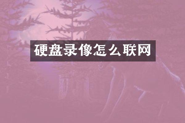 硬盘录像怎么联网