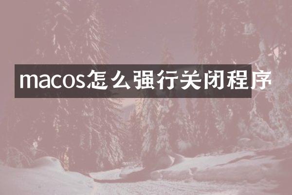 macos怎么强行关闭程序