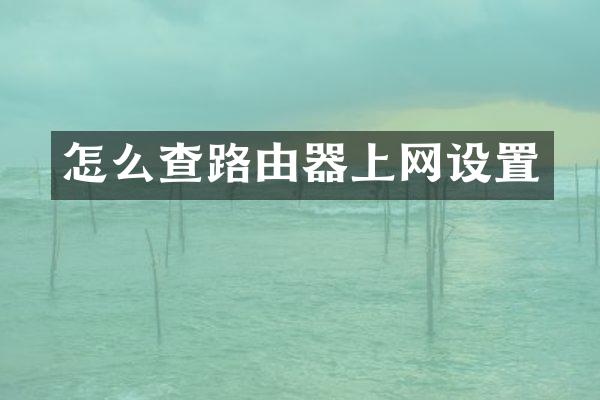 怎么查路由器上网设置