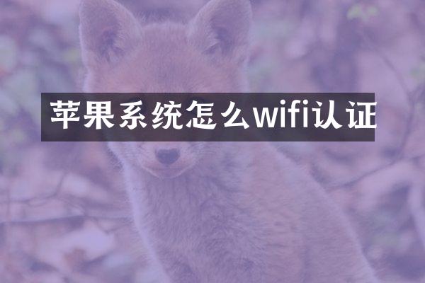 苹果系统怎么wifi认证