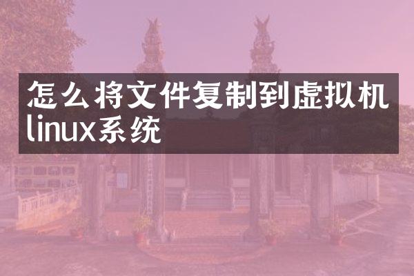 怎么将文件复制到虚拟机linux系统