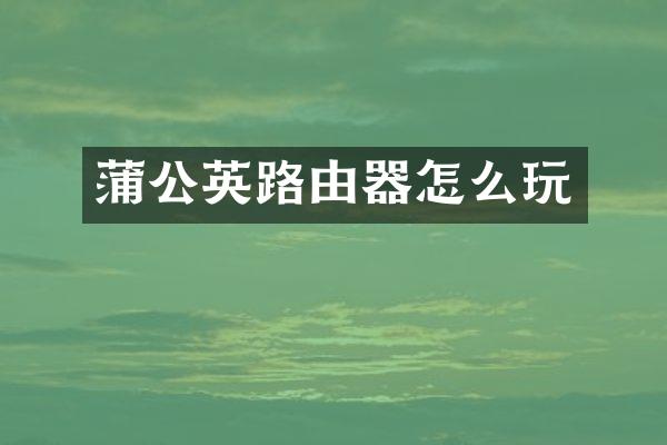 蒲公英路由器怎么玩