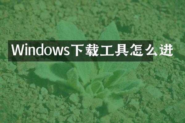 Windows下载工具怎么进
