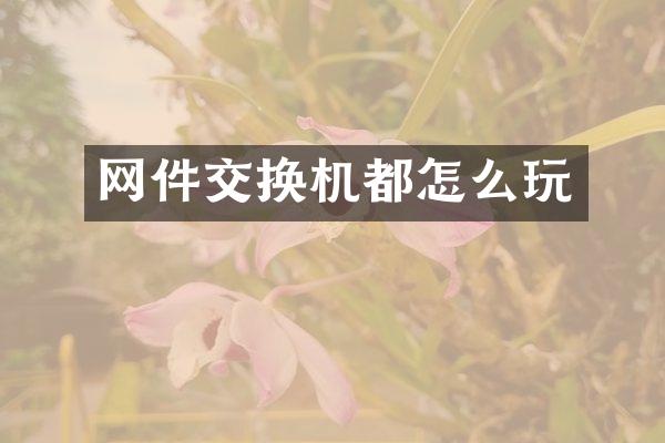 网件交换机都怎么玩