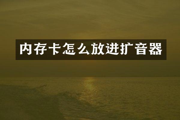 内存卡怎么放进扩音器