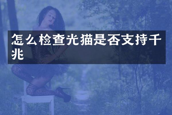 怎么检查光猫是否支持千兆
