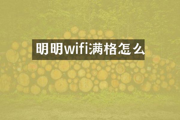 明明wifi满格怎么