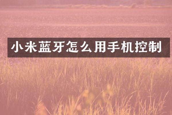 小米蓝牙怎么用手机控制