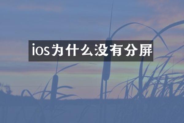 ios为什么没有分屏