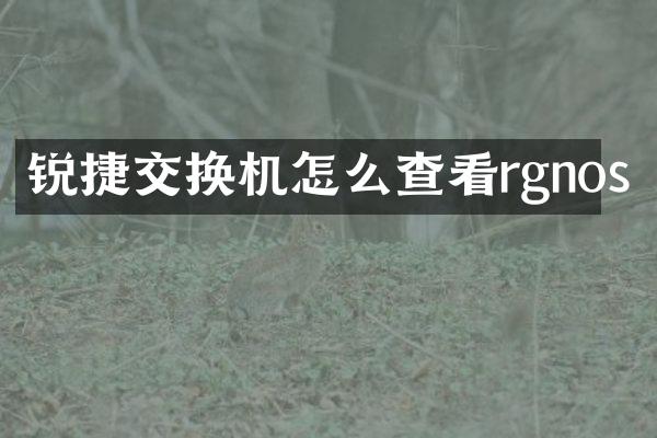 锐捷交换机怎么查看rgnos
