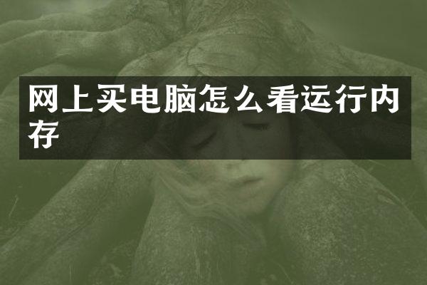 网上买电脑怎么看运行内存