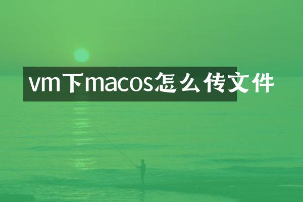 vm下macos怎么传文件