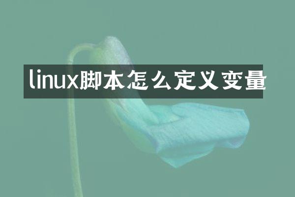 linux脚本怎么定义变量