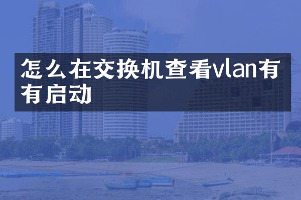 怎么在交换机查看vlan有没有启动