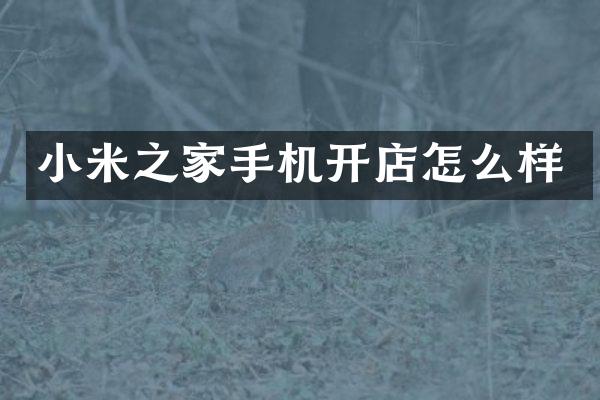 小米之家手机开店怎么样