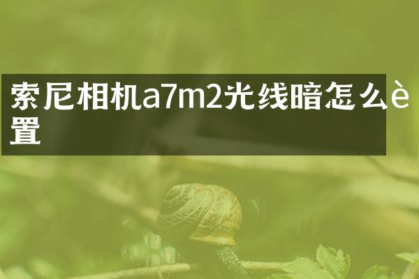 索尼相机a7m2光线暗怎么设置
