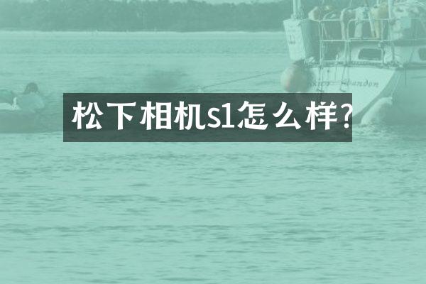 松下相机s1怎么样?
