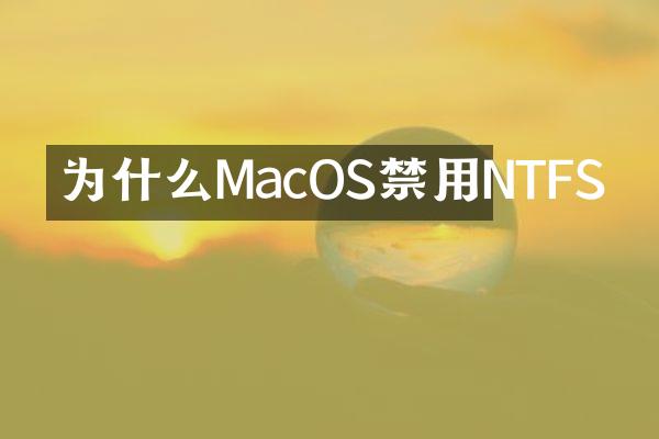 为什么MacOS禁用NTFS